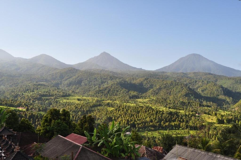 Munduk One Homestay And Warung מראה חיצוני תמונה